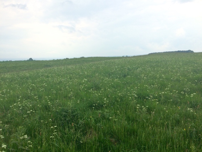 Hadrian's Wall Hike | thekitchenpaper.com