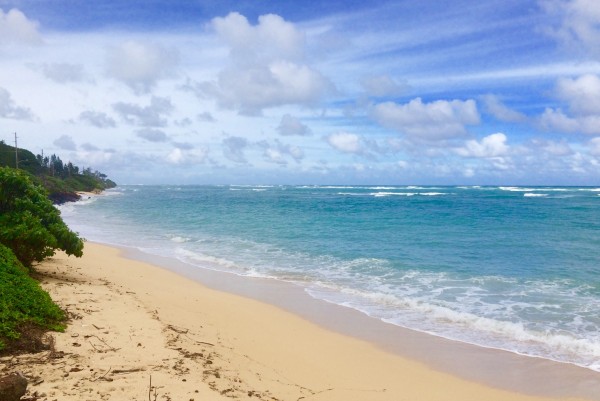 Life in Pictures | thekitchenpaper.com